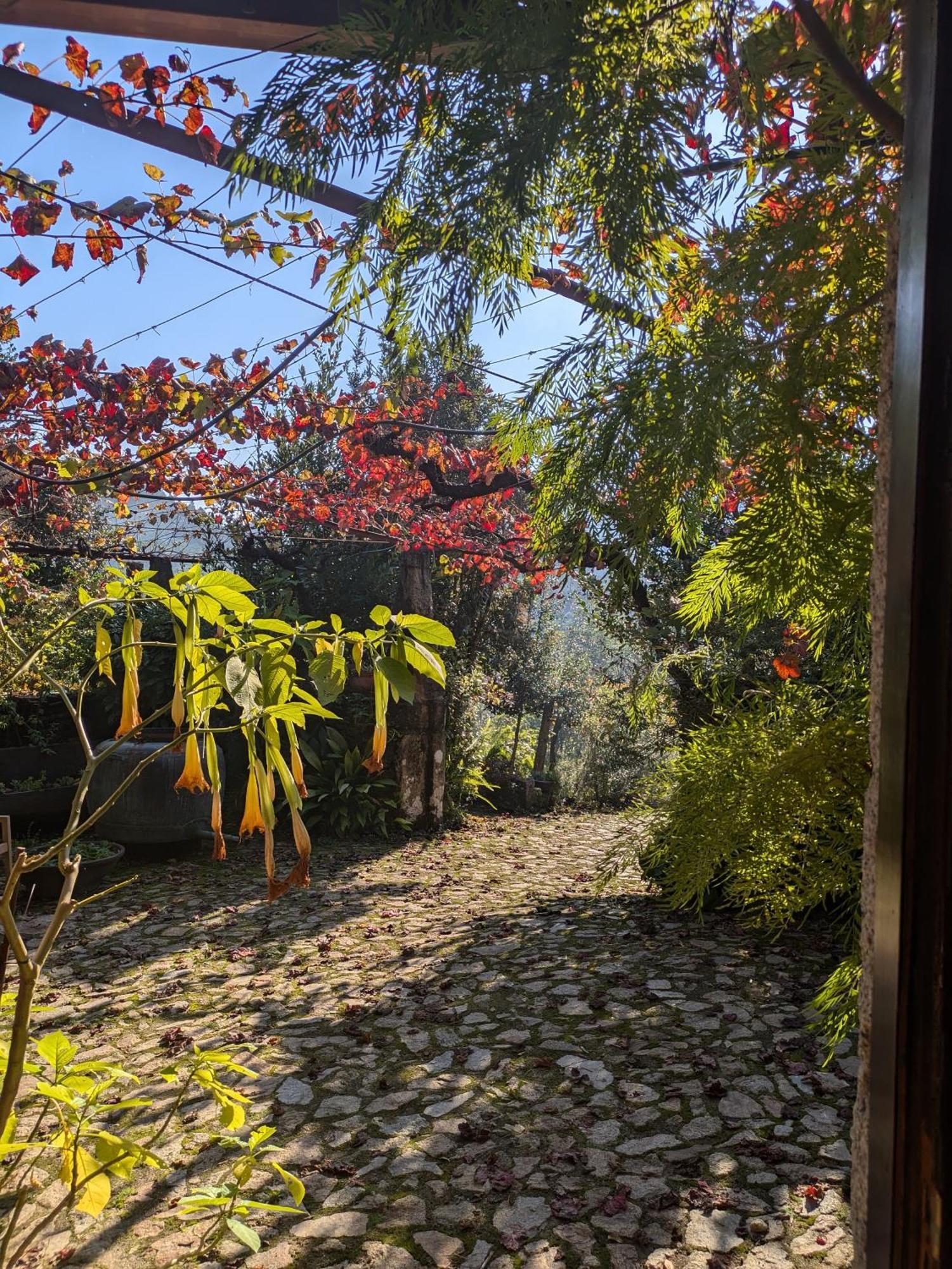Casa Do Valo Βίλα Amonde Εξωτερικό φωτογραφία